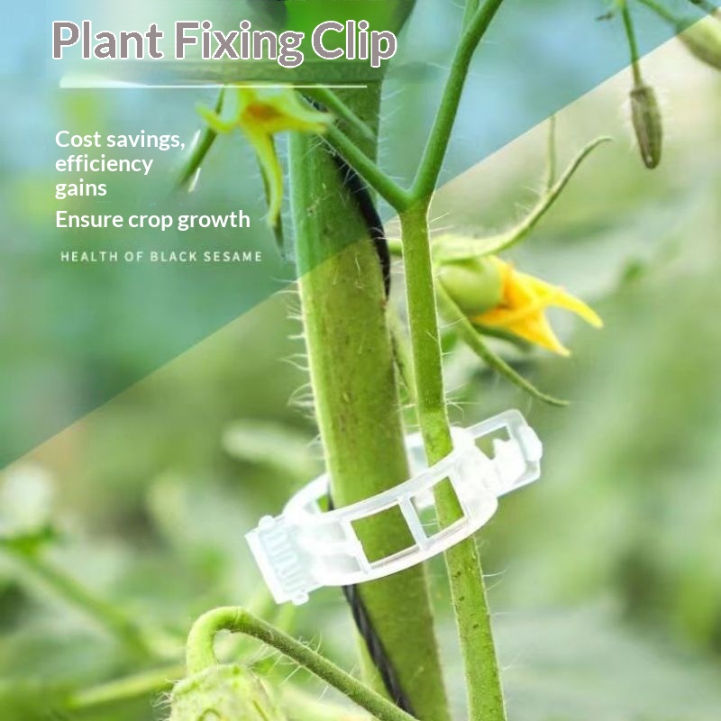 Vine Climbing Plastic - Plastikowe klipsy do podtrzymywania roślin wielokrotnego