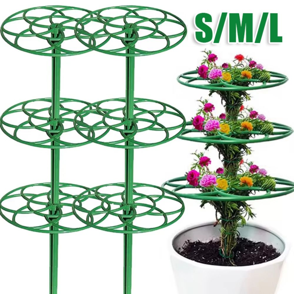 Sztalowa, plastikowa, sztaplow – Vine Climbing Plastic recenzja i cena