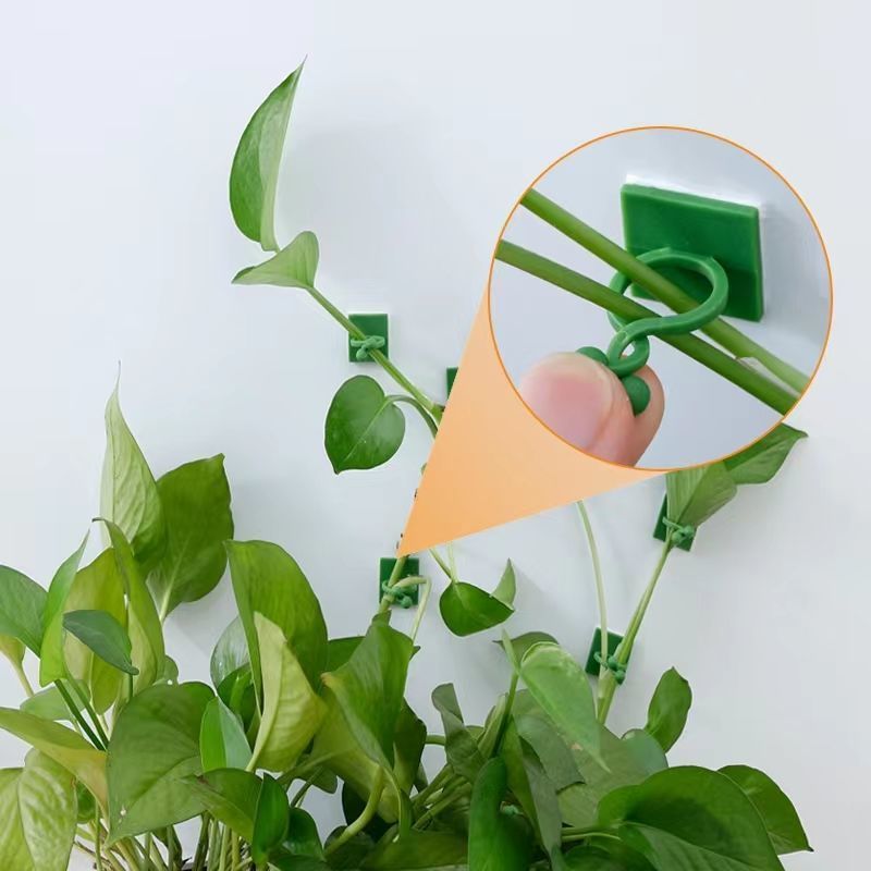 Samoprzylepne klipsy do mocowa – Vine Climbing Plastic recenzja i cena