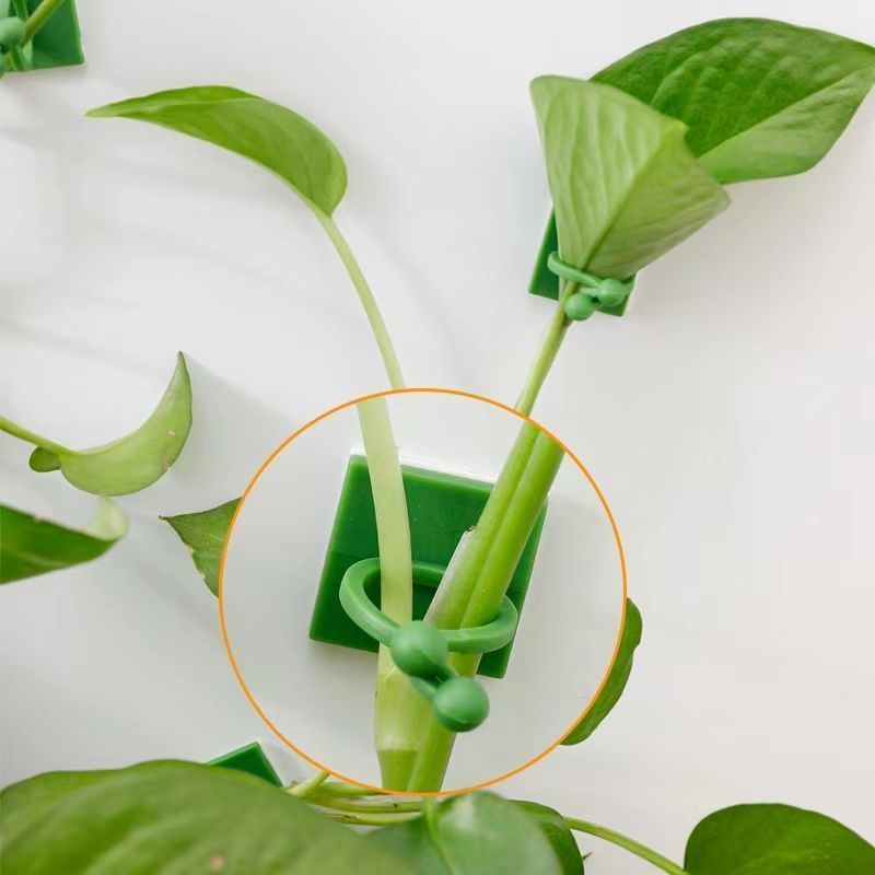 Samoprzylepne klipsy do mocowa – Vine Climbing Plastic recenzja i cena