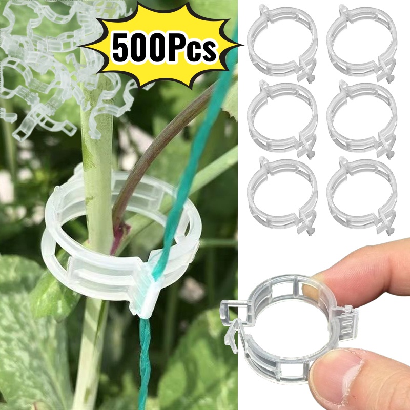 500 szt. Plastikowe klipsy do  – Vine Climbing Plastic recenzja i cena